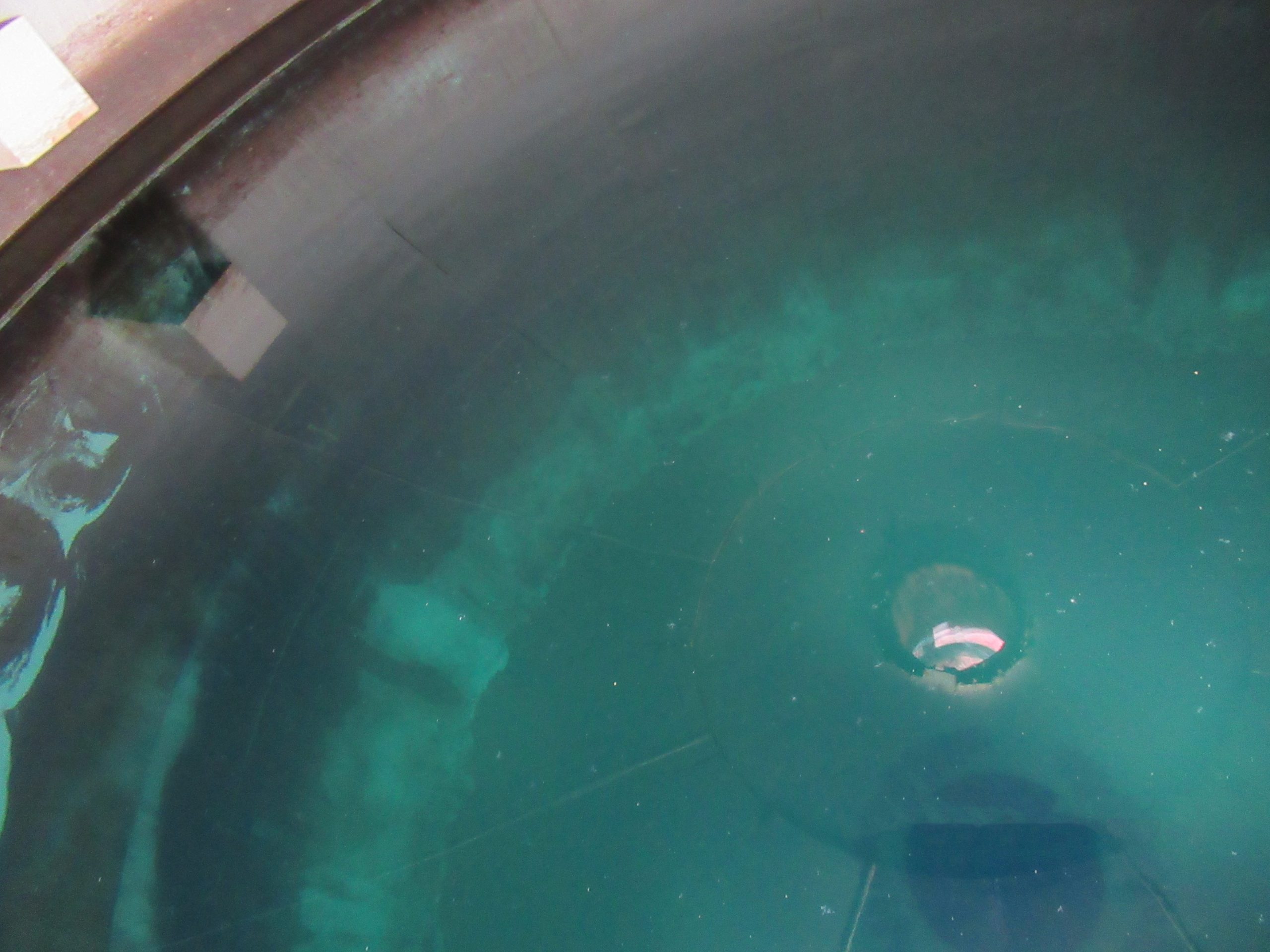 Water Tank Interior Water Tank Interior Inspection